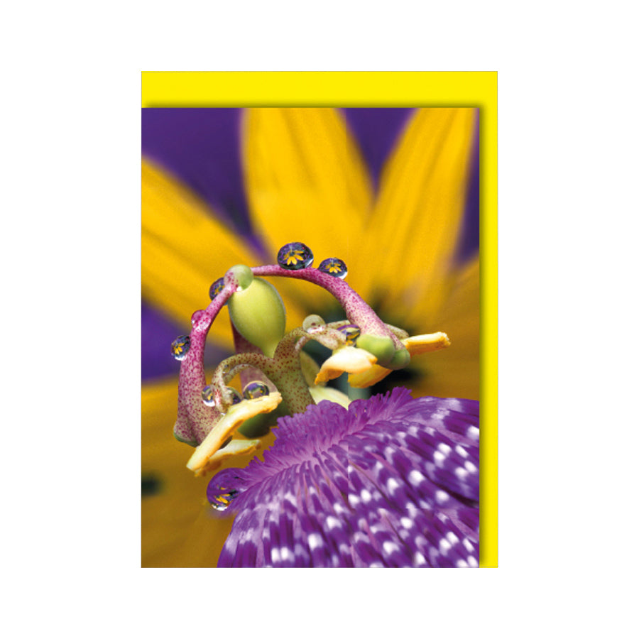 11084