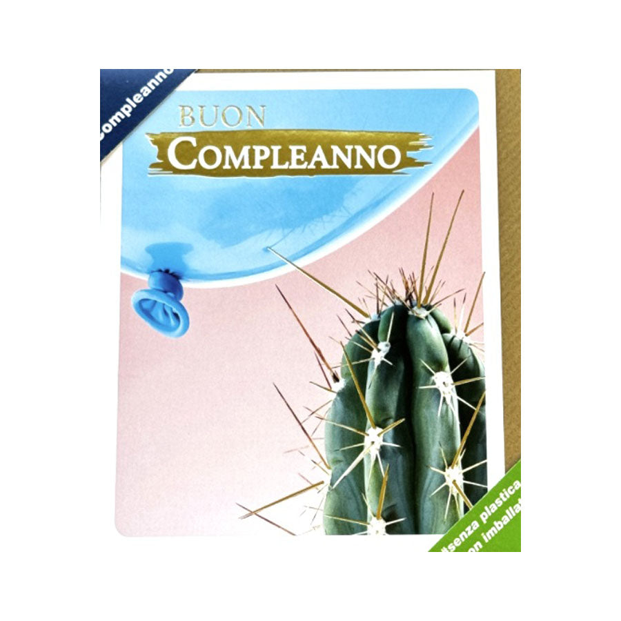 11237