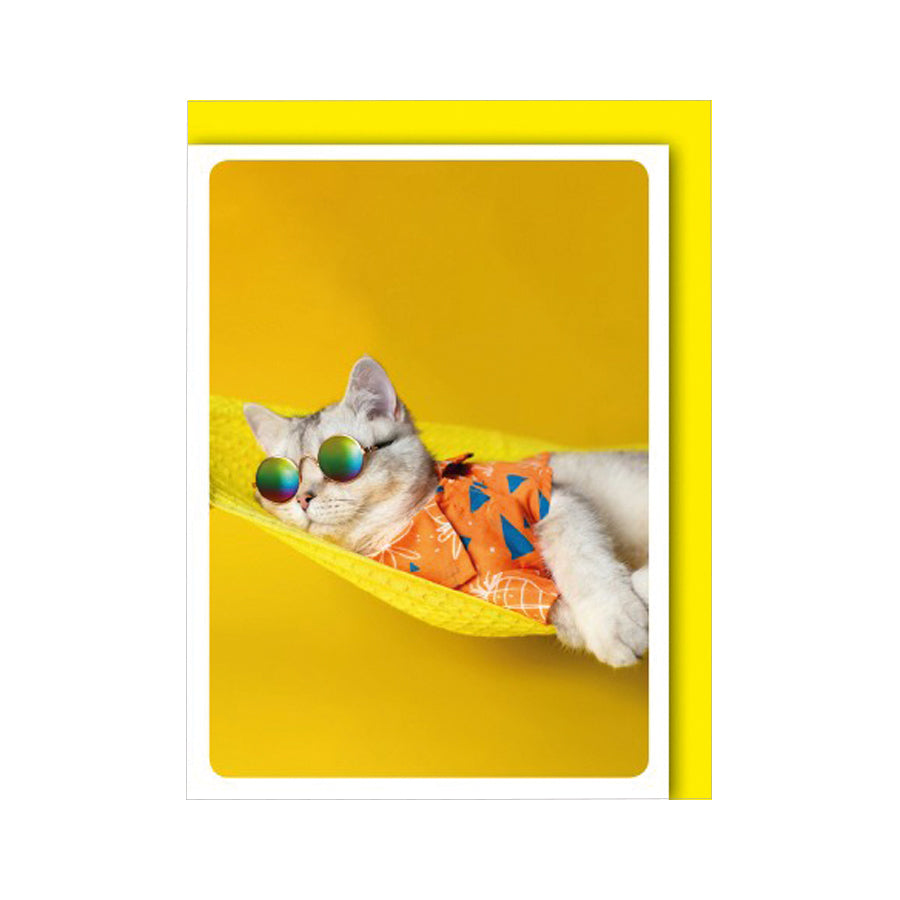 11904