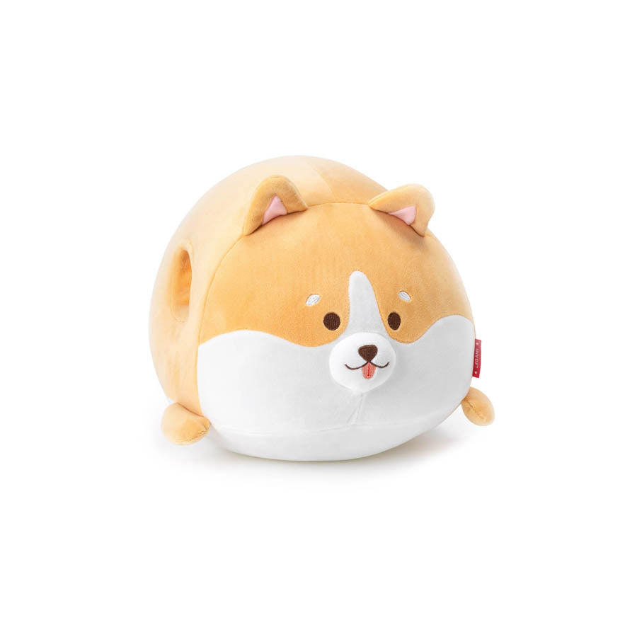 5981