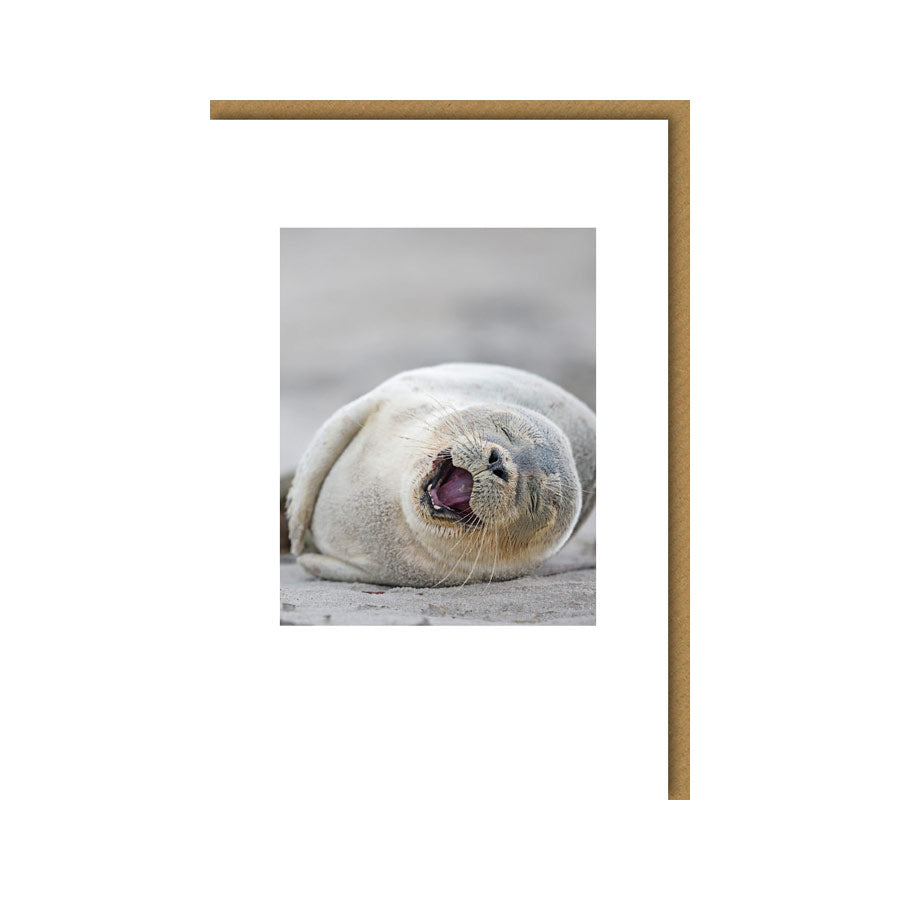 8267